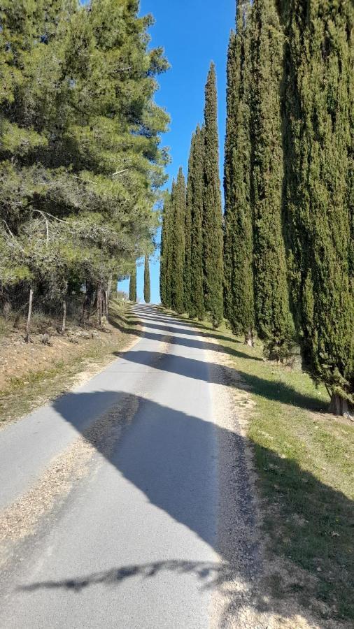 Willa Il Poggio Di Teo Manciano Zewnętrze zdjęcie